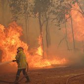 Dutzende Häuser bei Buschfeuer in Westaustralien verbrannt