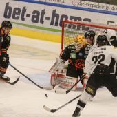 Bulldogs greifen nach acht Bonuspunkten