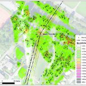 Digitale Forstanalyse für ein nachhaltiges Waldmanagement