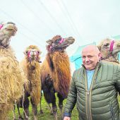 Circus Berlin hat ein neues Quartier