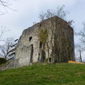 Frischzellenkur für alte Burgmauern