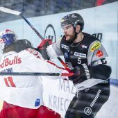 Bulldogs heiß auf großes Finale