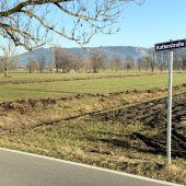 Biogemüse und neue Leitungen in Hard