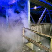 „Brückenzünslern“ von Sulz auf der Spur