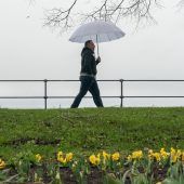 Der Frühling zeigt uns die kalte Schulter