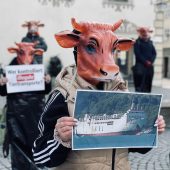 Tierschützer-Demo gegen Tiertransporte