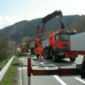 Bäume fällen für die Verkehrssicherheit