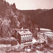 Kohle im Wirtatobel
