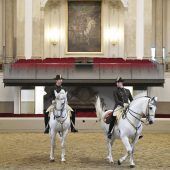 Berühmte Lipizzaner auf Gnadenhof