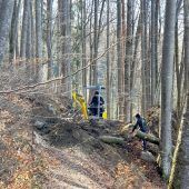 Wanderweg im Buchenwald wieder begehbar