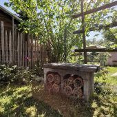 Naturvielfalt im eigenen Garten