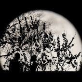 Bilder des Tages