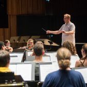 Musikerkarriere und Hochschulprofessor