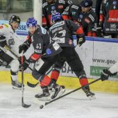 Bulldogs holten sich das Play-off-Ticket