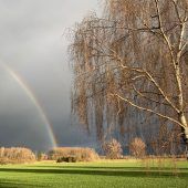 Den Blick fürs Schöne