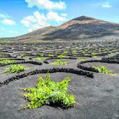 Kultur und Natur im Einklang