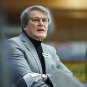 Gelassene Bulldogs messen sich mit gereizten Haien