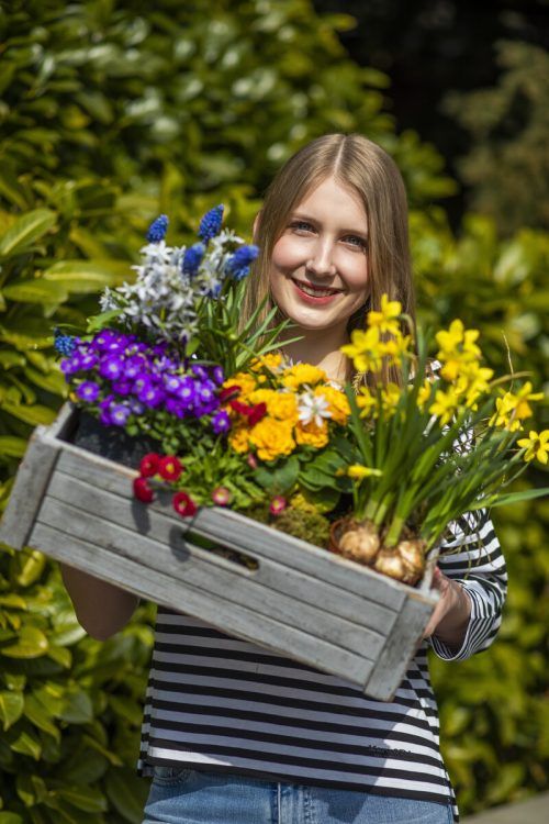 Die Frühjahrsblüher ziehen jetzt in unsere Gärten ein. VN/Paulitsch