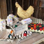 Frühlingsgruß für Familien in Buch