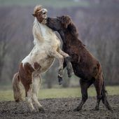 Bilder des Tages