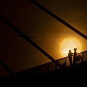 Bilder des Tages