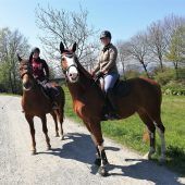 Frühling lockt Reiter wieder hinaus ins Ried