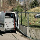 Schrubben im Wildpark