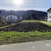 Mit Gemüse gemeinsam statt einsam