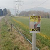 Laufrunde durchs Altacher Ried