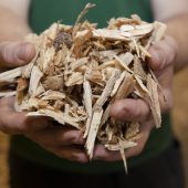 Naturwärme Montafon zieht weitere Kreise