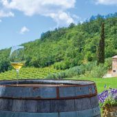 Typischer istrischer Malvasier vom Vorzeige-Weingut Kozlovic