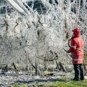 Die Obstbauern zittern weiter