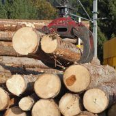 Holzgipfel: Regionale Zusammenarbeit soll enger werden. »D1