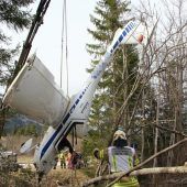 Bruchlandung in einem Waldstück