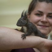 Wildtierhilfe hat im Frühjahr alle Hände voll zu tun. »A8