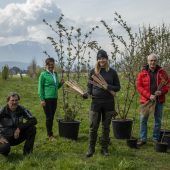 Das Jahr der Wildhecke