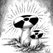 35 Jahre nach Tschernobyl!