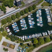 Der Kampf um den See