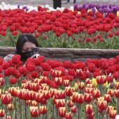 Bilder des Tages