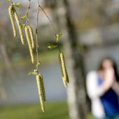 Pollenallergien nicht unterschätzen