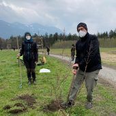 Galätscha blüht auf