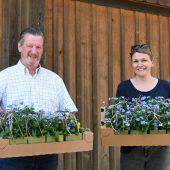 Audite lässt Blumen sprechen