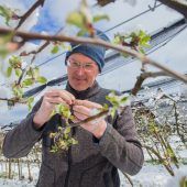 Die weiter drohende Frostgefahr lässt die Obstbauern im Land zittern. »a9