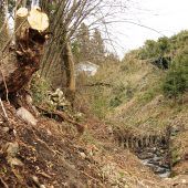 Kennelbach saniert Wildbäche