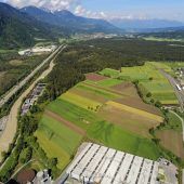 Holpriger Weg zu Volksbegehren