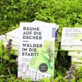 Die Architektur-Natur-Symbiose!