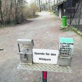Wildpark: Gestohlene ­Spendenkasse gefunden