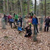 Klauser Mittelschule verwandelte sich in Baumschule