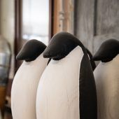 Pinguine auf Klimamission