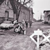 Als die Maul- und Klauenseuche im Vorarlberger Grenzgebiet tobte